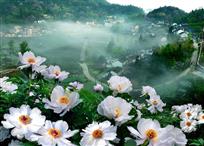 山村春早
