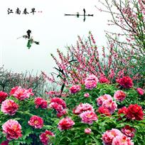 江南春早