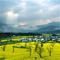 卢村春光
