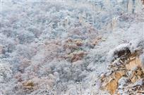 风景如画