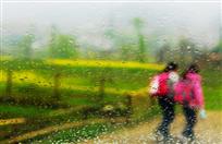 《乡村春雨》