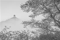 禅境
