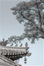 古建传承