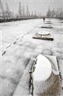 午门飞雪