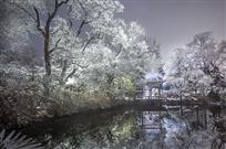 雪之恋