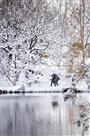 踏雪行摄