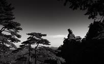 听松