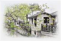 春到古镇