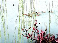 《春江水暖鸭先知》