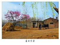 《春到农家》