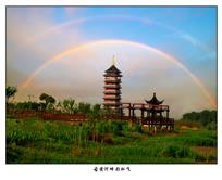 《古黄河畔彩虹飞》