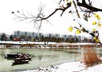 《古黄河初雪图》