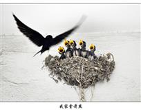 《我家堂前燕》