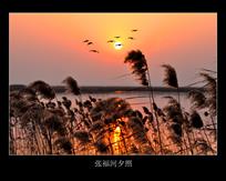 《张福河夕照》