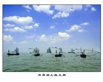 《洪泽湖上撒大网》