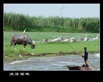 《洪泽湖畔》