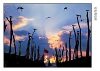 《洪泽湖晨曲》