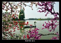 《桃花垠的春天》