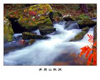 《井岗山秋涧》