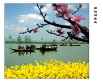 .《邵伯湖春渔》