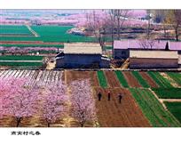 《燕窝村之春》