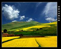 《甘南七月赛江南》