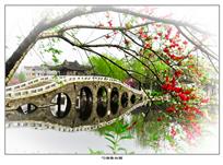 .《勺湖春如画》