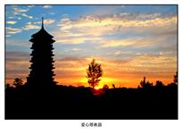 《爱心塔秋晨》