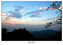 《莫干山之秋》