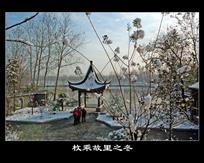 组照：《四季枚乘故里－4》