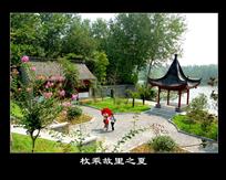 组照：《四季枚乘故里－2》