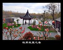 组照：《四季枚乘故里－1》