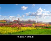 《农家三月满眼春》