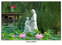 《荷花公园夏韵》