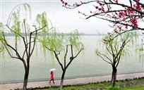 《富春江春雨图》