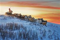 《骏马奔腾红霞飞》