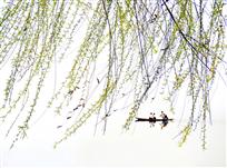 春江