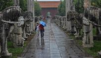 《雨中情》