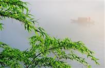 翠竹遥呼摆渡人