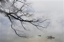 烟雨采蛎归