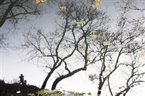 时光倒影（组照1-4）