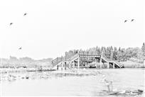 夏日赏荷燕蛙伴