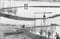 又到一年捕鱼季