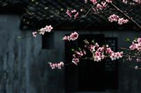 江南春色