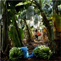 《红土地的恩赐》组照