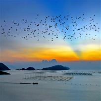 《小皓晨曲》