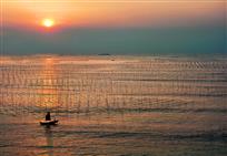 《滩涂日出》