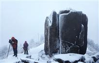 《雪中磐石》