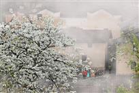 《一树梨花窈画屏》