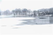 《寂静的河滨》